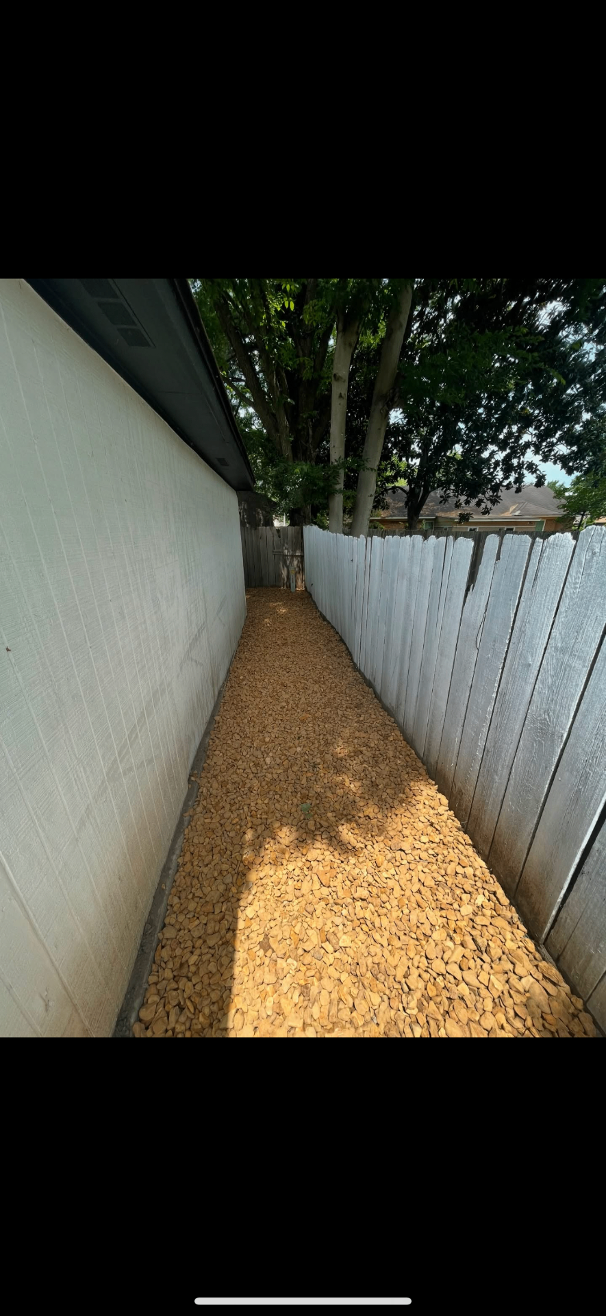 Yard Cleanup