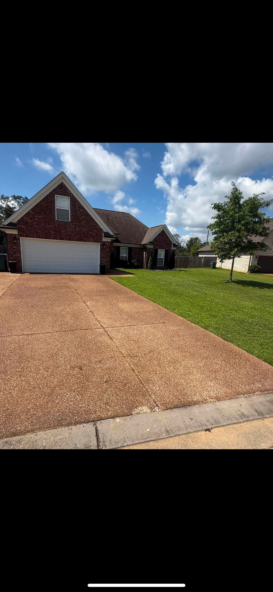 Hedge & Shrub Trimming